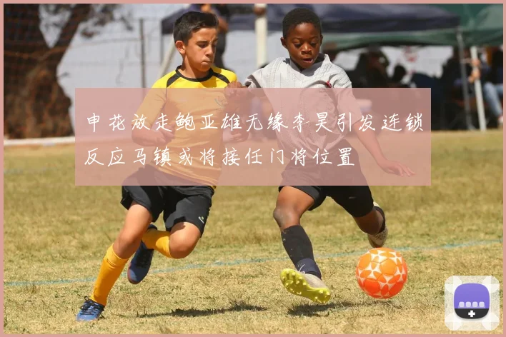 申花放走鲍亚雄无缘李昊引发连锁反应马镇或将接任门将位置
