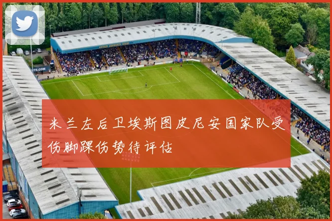 米兰左后卫埃斯图皮尼安国家队受伤脚踝伤势待评估