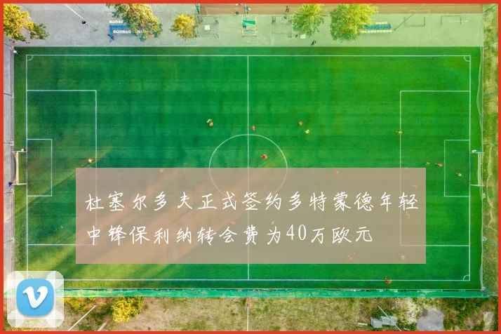 杜塞尔多夫正式签约多特蒙德年轻中锋保利纳转会费为40万欧元